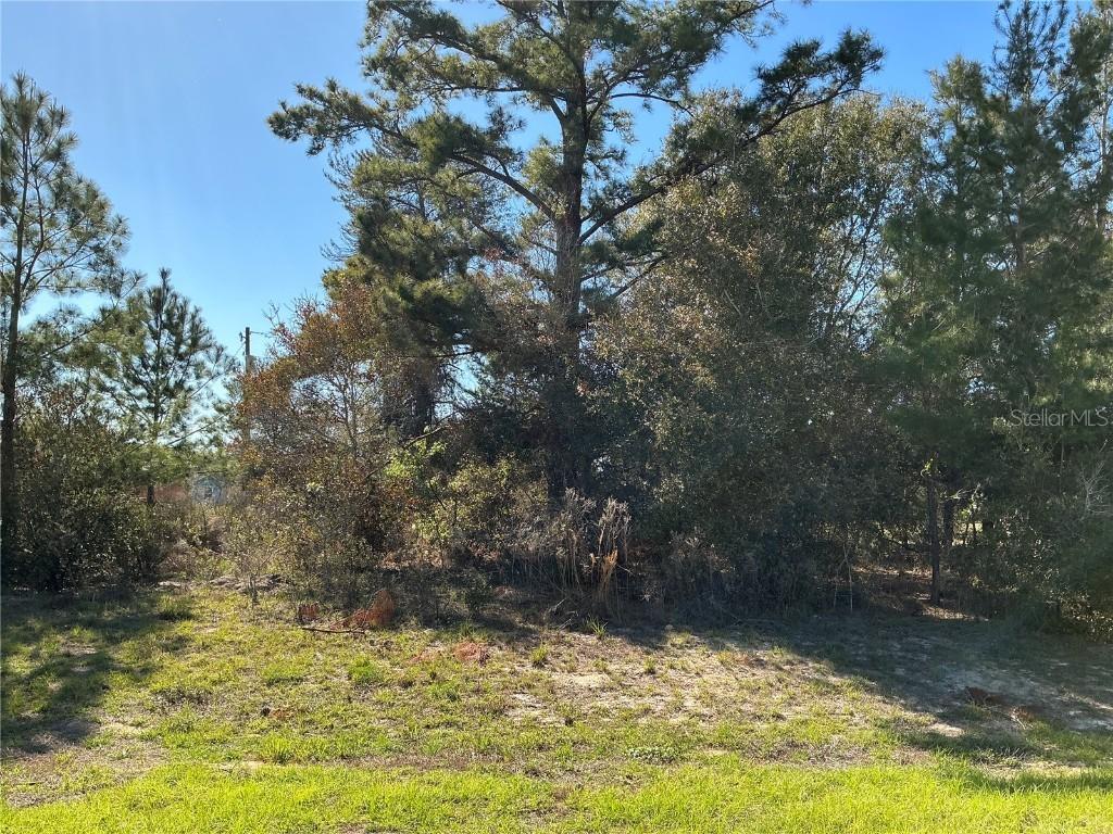 SW 37th Ter., Ocala, FL 34473