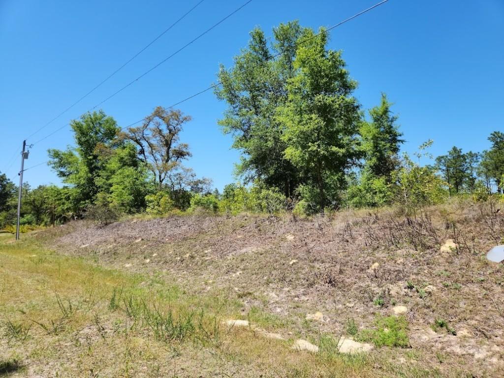 lot 5 SW 64th Ln., Ocala, FL 34481