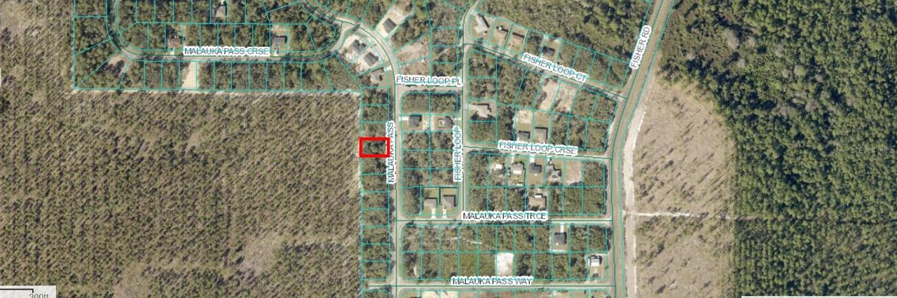 Malauka Pass, Ocklawaha, FL 32179