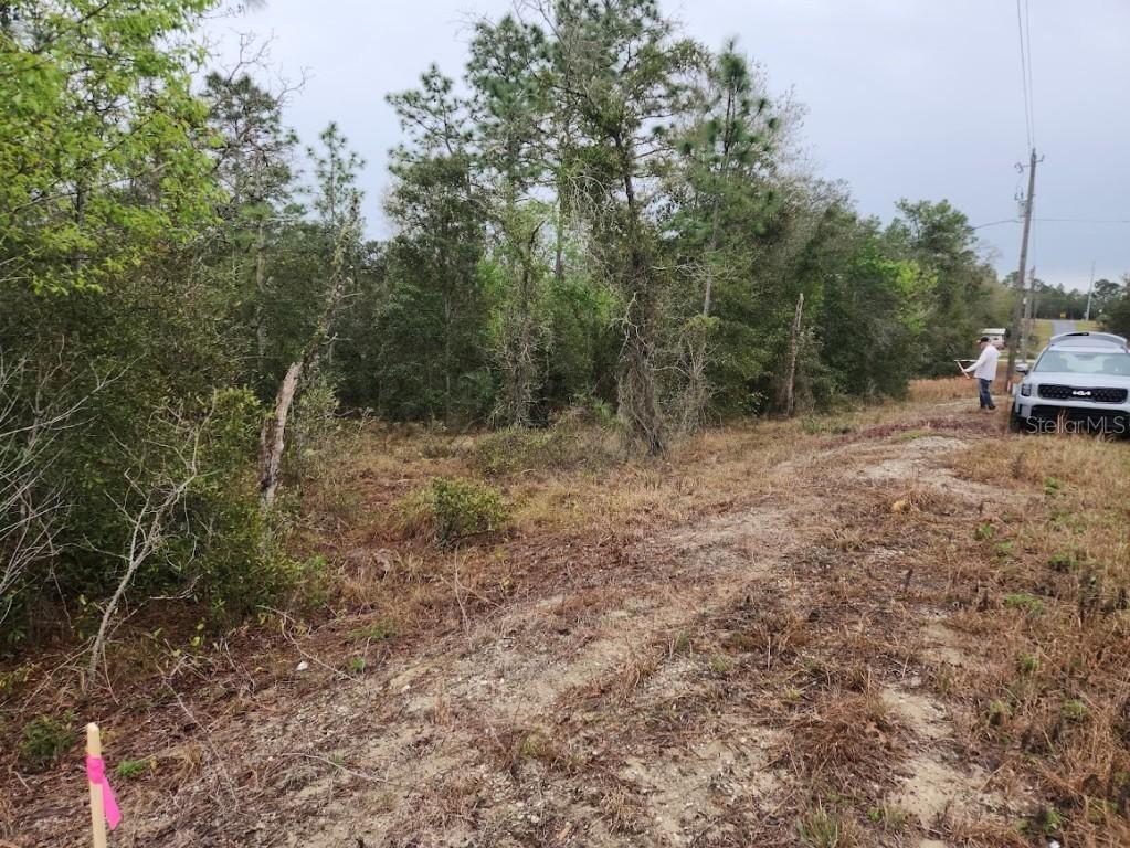 lot 30 SW Ivy Pl., Dunnellon, FL 34431