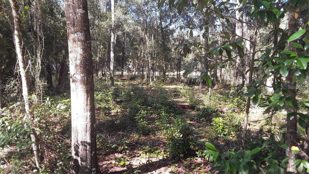 Beaverhead St., Alford, FL 32420