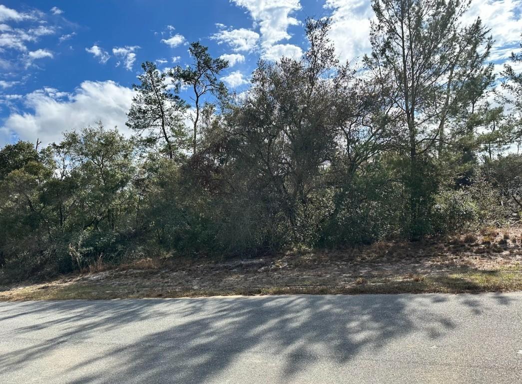 SW 178th Street Rd., Ocala, FL 34473