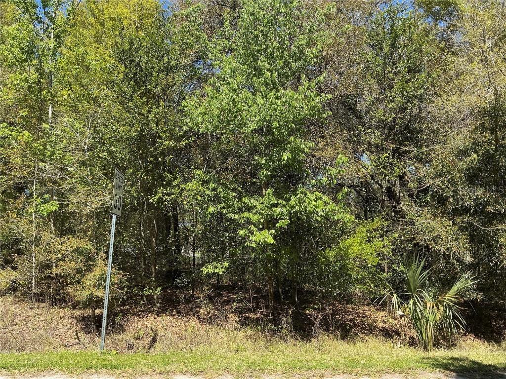 SE 139th Ln., Summerfield, FL 34491