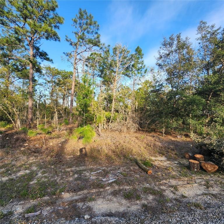 [Address Hidden by Seller], Citrus Springs, FL 34433