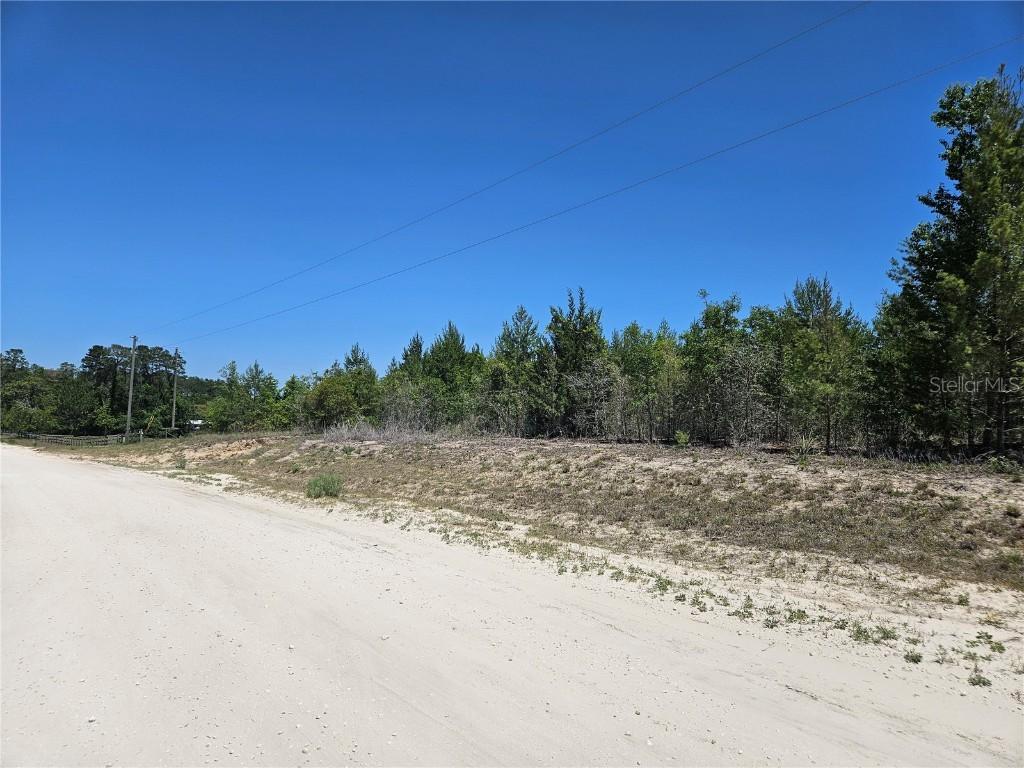 5931 SE 128th Ter., Morriston, FL 32668