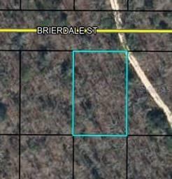 Lot 6 Brierdale St., Chipley, FL 32428