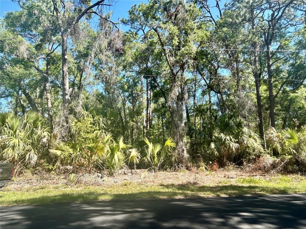 5261 E Tangelo Ln., Inverness, FL 34453