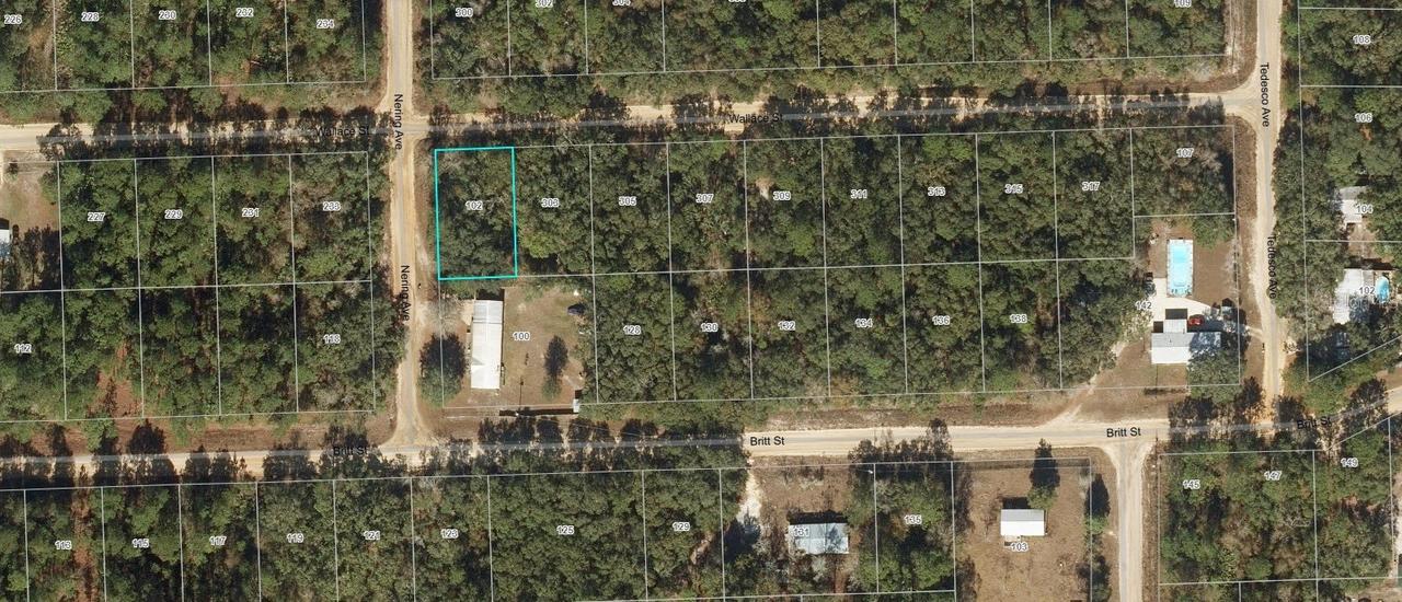 102 Nering Ave., Interlachen, FL 32148