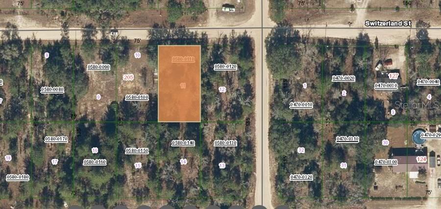 203 Switzerland St., Interlachen, FL 32148