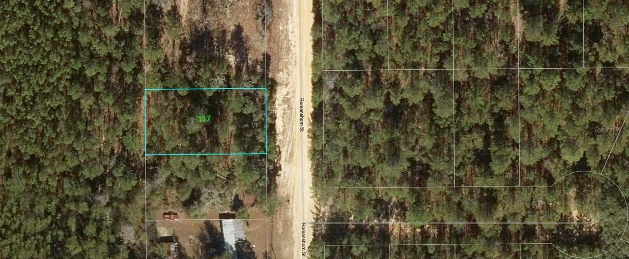 117 Romanshorn St., Interlachen, FL 32148