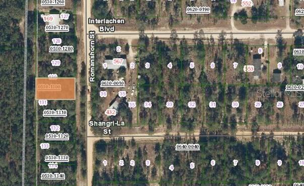 163 Romanshorn St., Interlachen, FL 32148