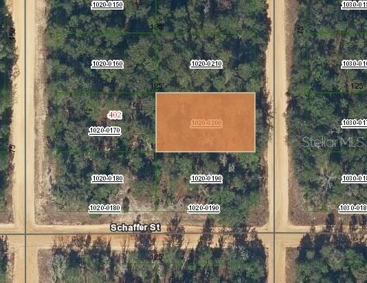 403 Shappell Ave., Interlachen, FL 32148