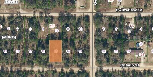 204 Ontario St., Interlachen, FL 32148