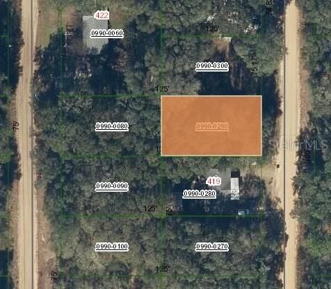 421 Kennedy Ave., Interlachen, FL 32148