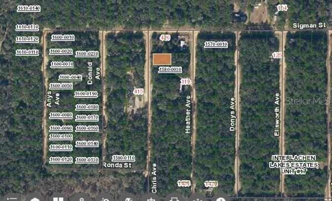 424 Chris Ave., Interlachen, FL 32148