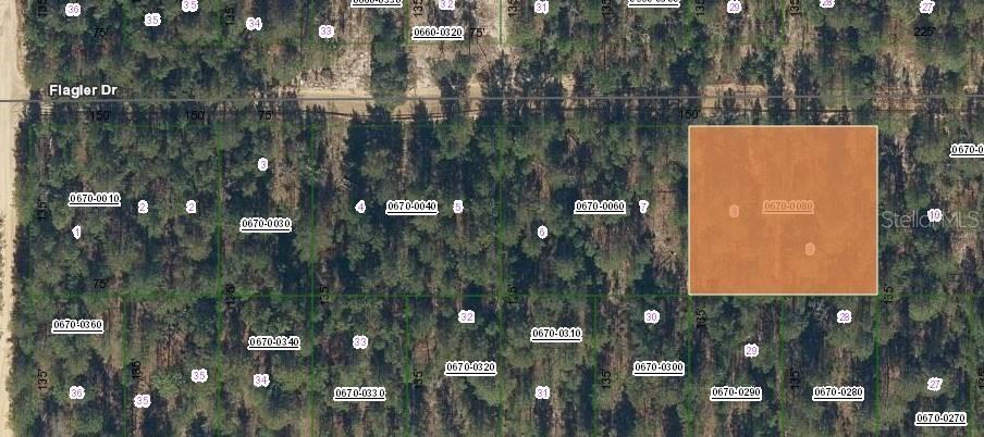 419 Flagler Dr., Interlachen, FL 32148