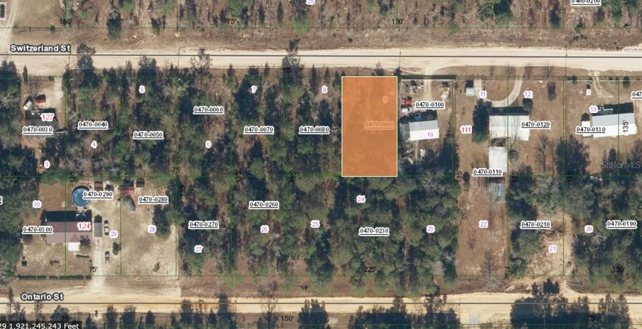 115 Switzerland St., Interlachen, FL 32148