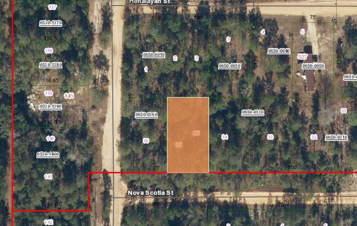 532 Nova Scotia St., Interlachen, FL 32148