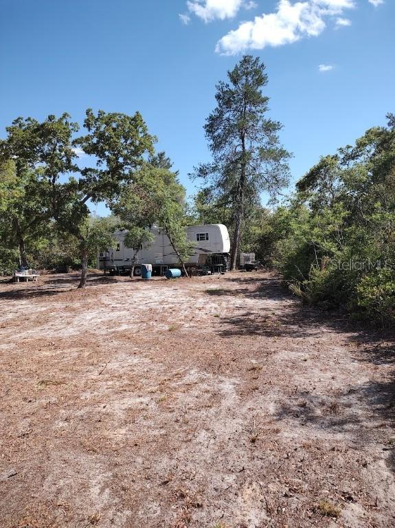Ne 234th Lane Ln., Fort Mc Coy, FL 32134