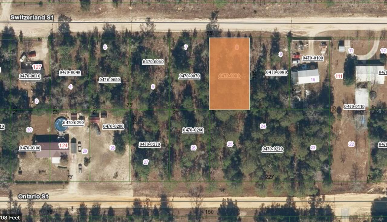 117 Switzerland St., Interlachen, FL 32148