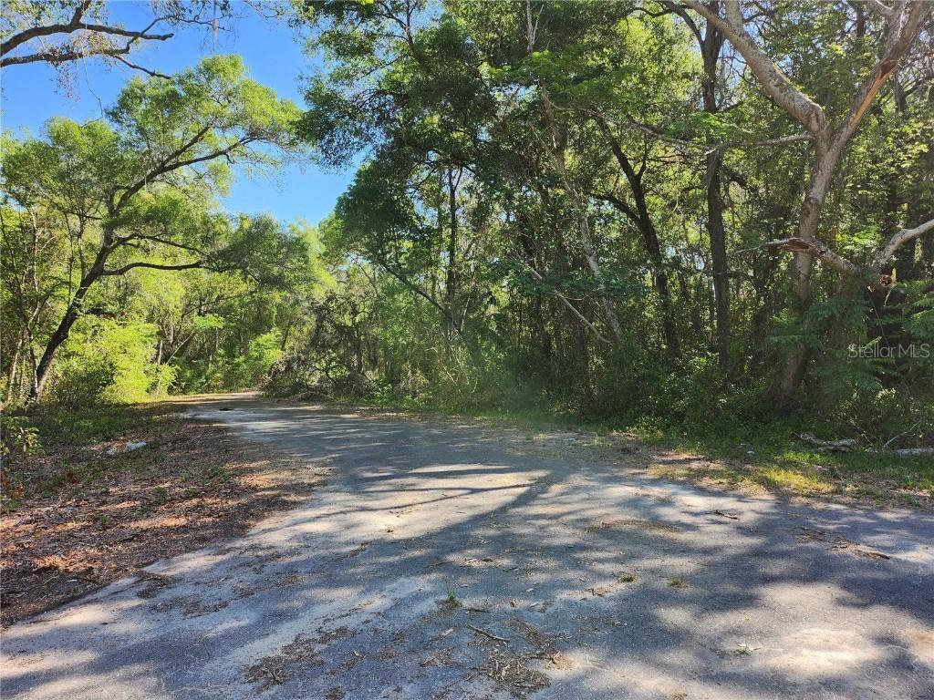 TBD Guava Terr Loop, Ocklawaha, FL 32179