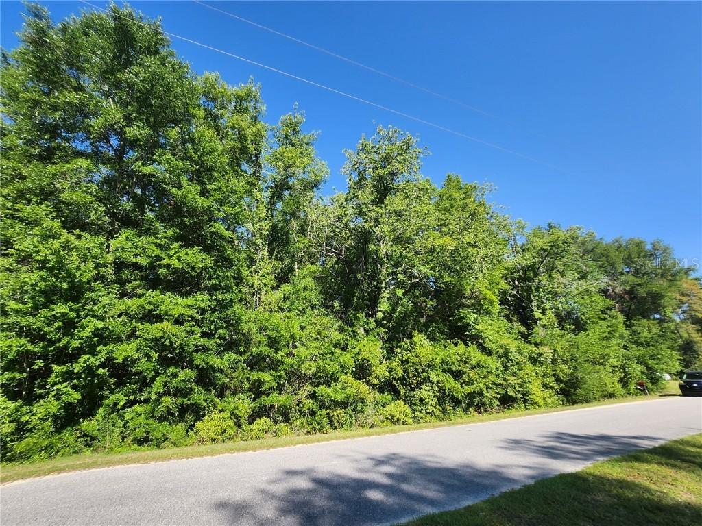 TBD SW Yazoo Ct., Dunnellon, FL 34431