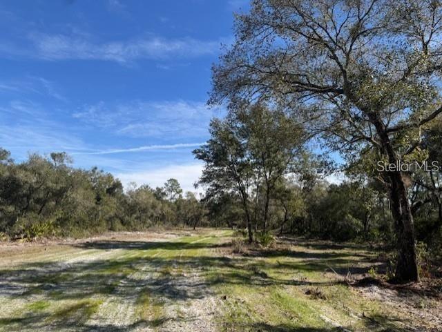NE 150th Ave Rd. #LOT 2, Fort Mc Coy, FL 32134