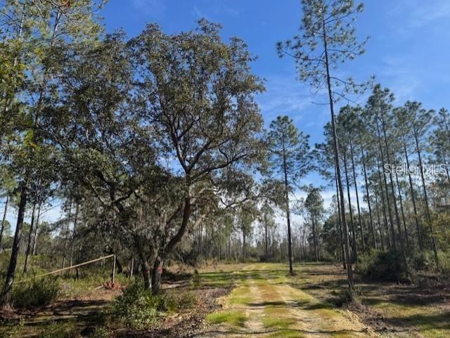 NE 150th Ave Rd. #LOT 3, Fort Mc Coy, FL 32134