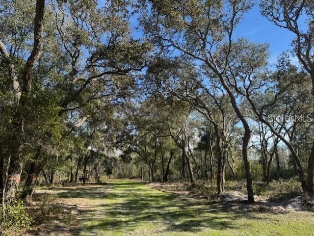 NE 150th Ave Rd. #LOT 4, Fort Mc Coy, FL 32134