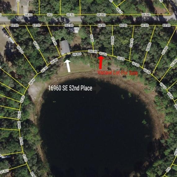 TBD SE 52nd Pl., Ocklawaha, FL 32179