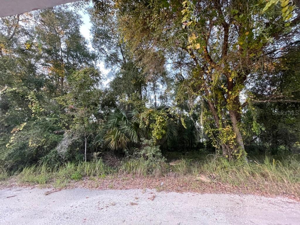 NE 132nd St., Salt Springs, FL 32134
