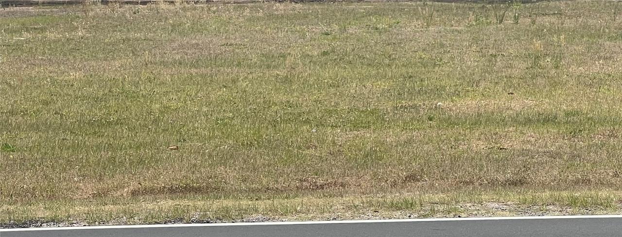 Southeast Sunset Harbor Road, Summerfield, FL 34491