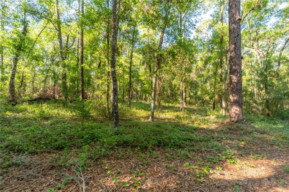 5282 S Robert Blake Ave., Inverness, FL 34452
