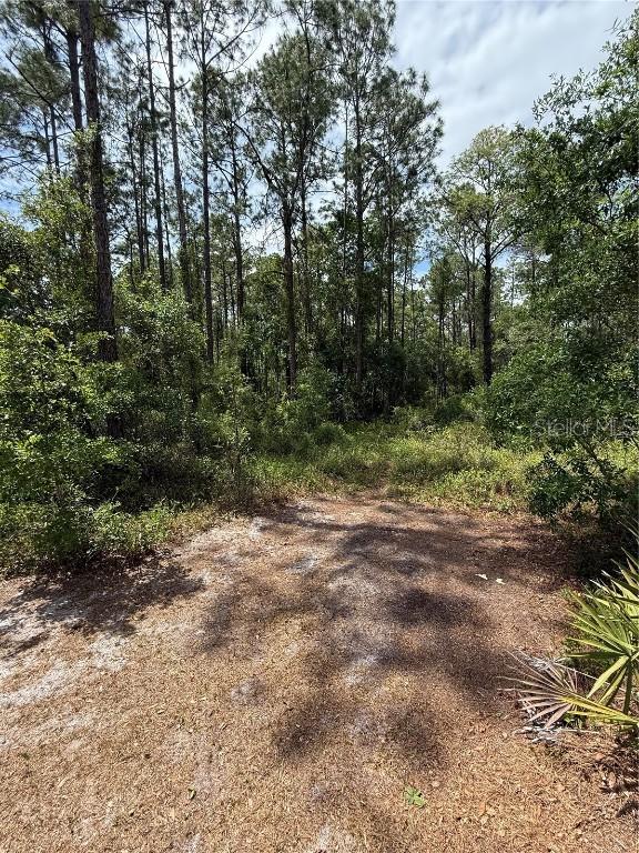 TBD NE 156th Ln., Fort Mc Coy, FL 32134