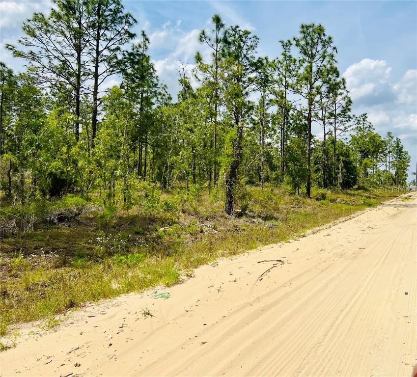 0000 NE 132 Terrace Ter., Williston, FL 32696