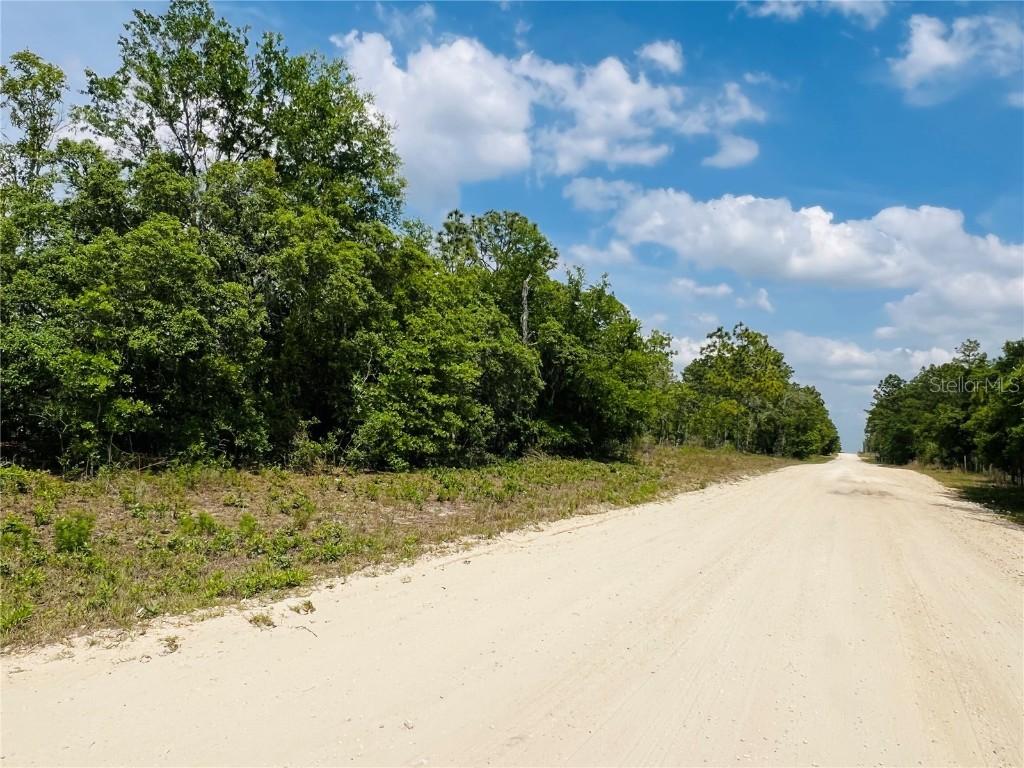 0000 NE 132 Terrace Ter., Williston, FL 32696