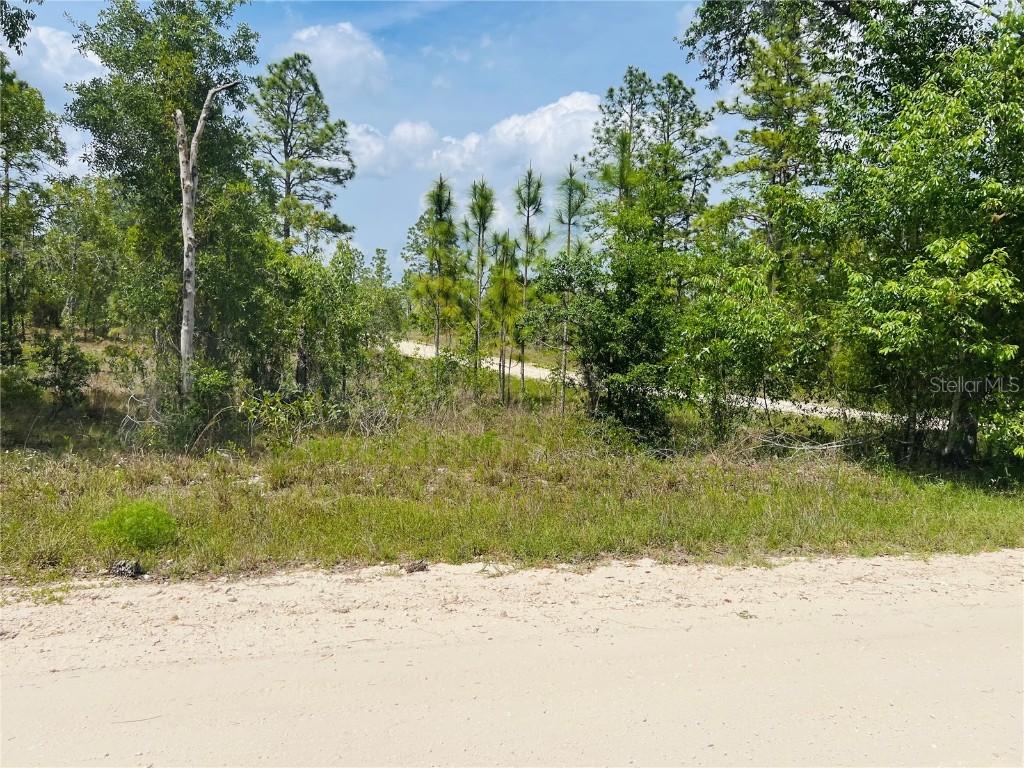 0000 NE 132 Terrace Ter., Williston, FL 32696