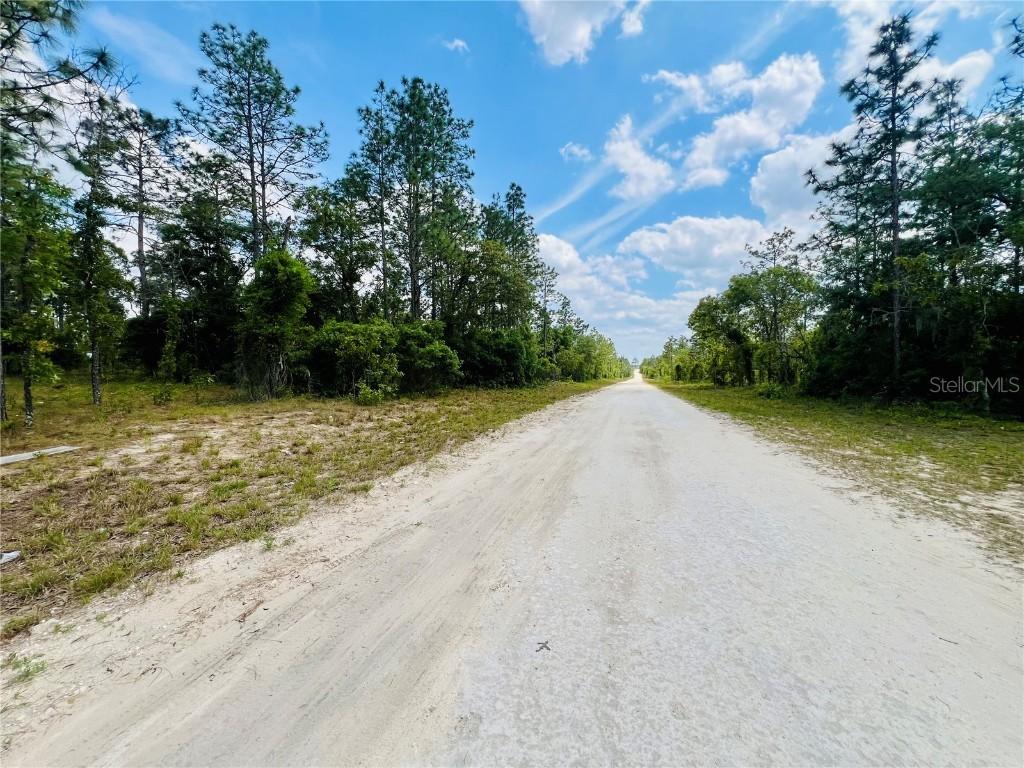 0000 NE 131 Terrace Ter., Williston, FL 32696