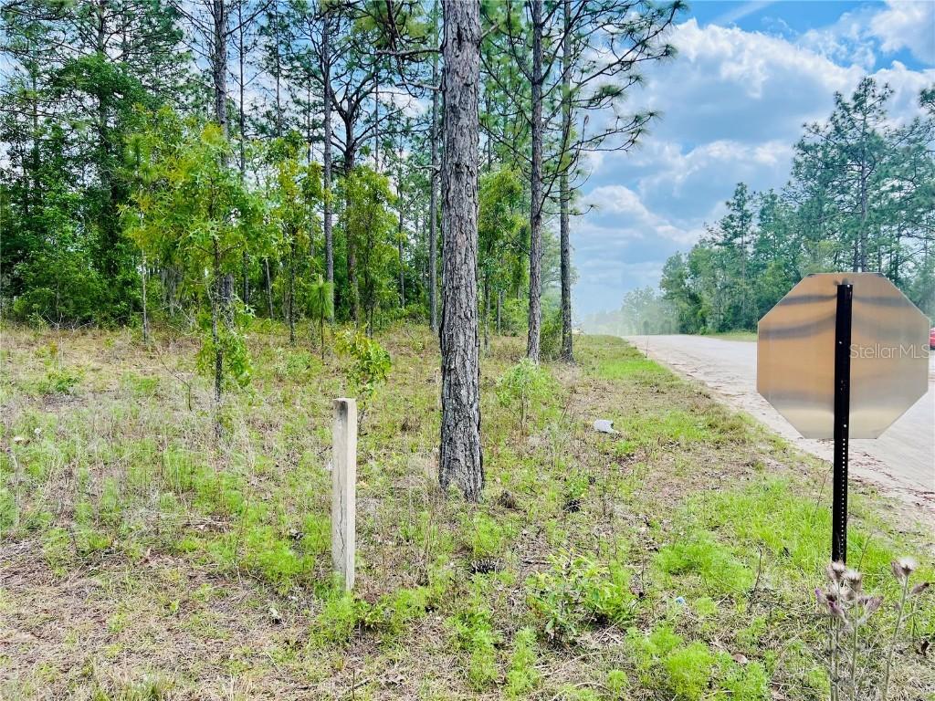 0000 NE 131 Terrace Ter., Williston, FL 32696
