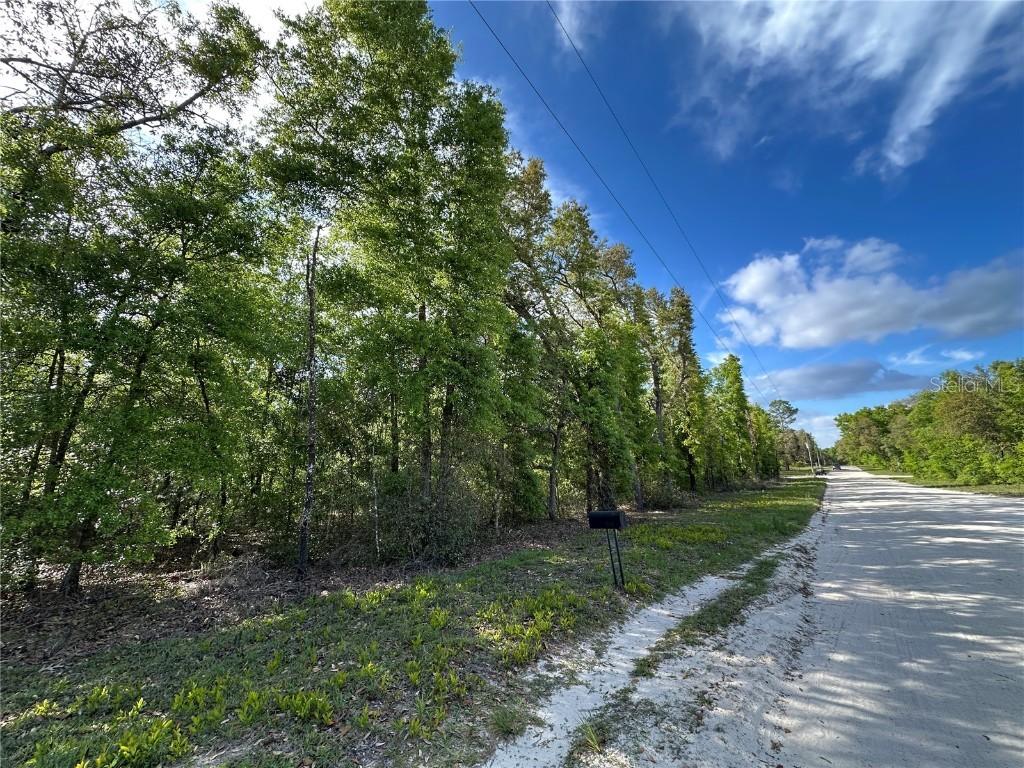 TBD NE 113th Ave & Ne 86th Ln., Bronson, FL 32621