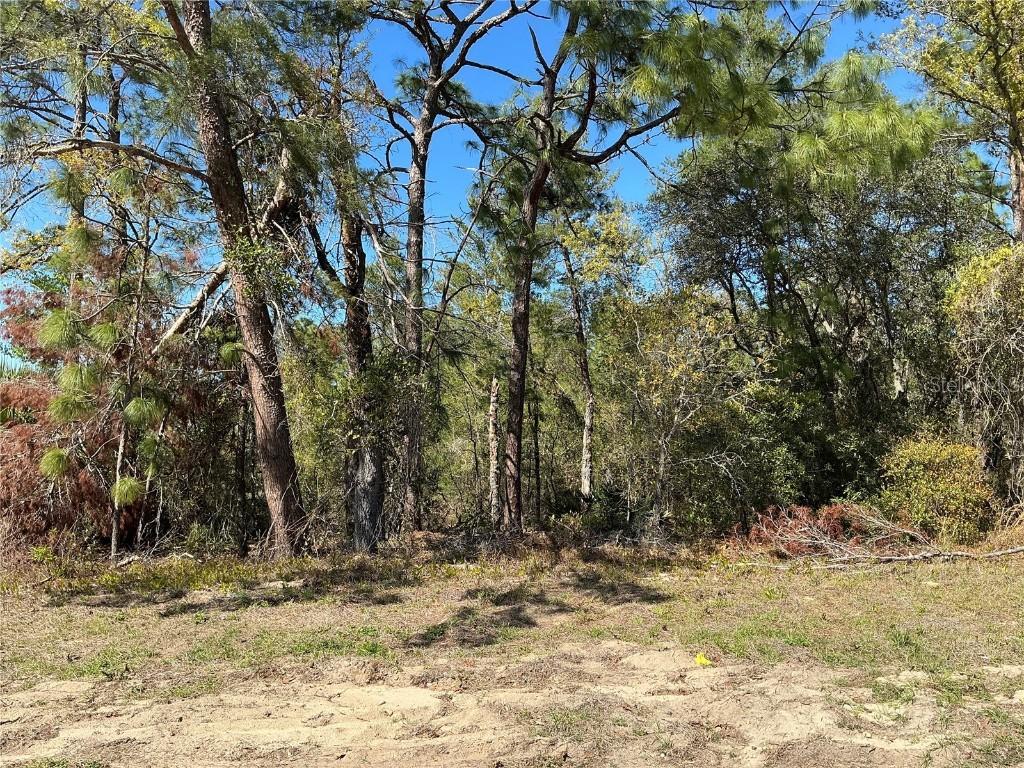 SW 159th St., Ocala, FL 34473