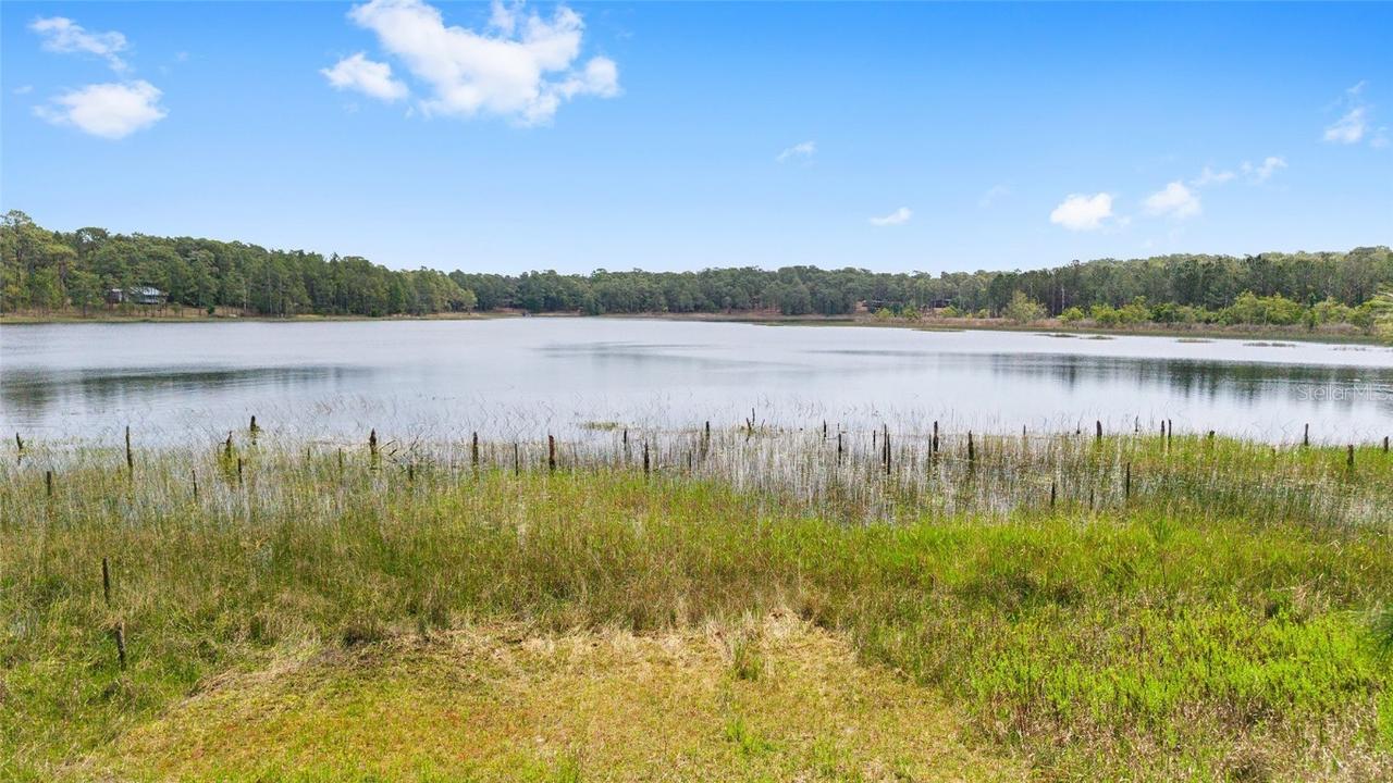 14620 SE 47th Loop, Ocklawaha, FL 32179