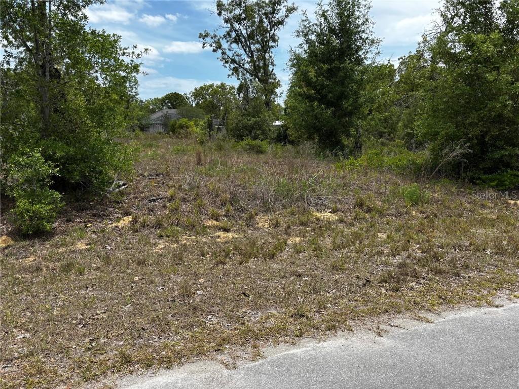 Malauka Loop, Ocklawaha, FL 32179