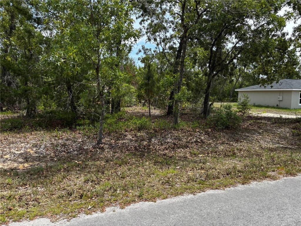 Malauka Place Tr., Ocklawaha, FL 32179