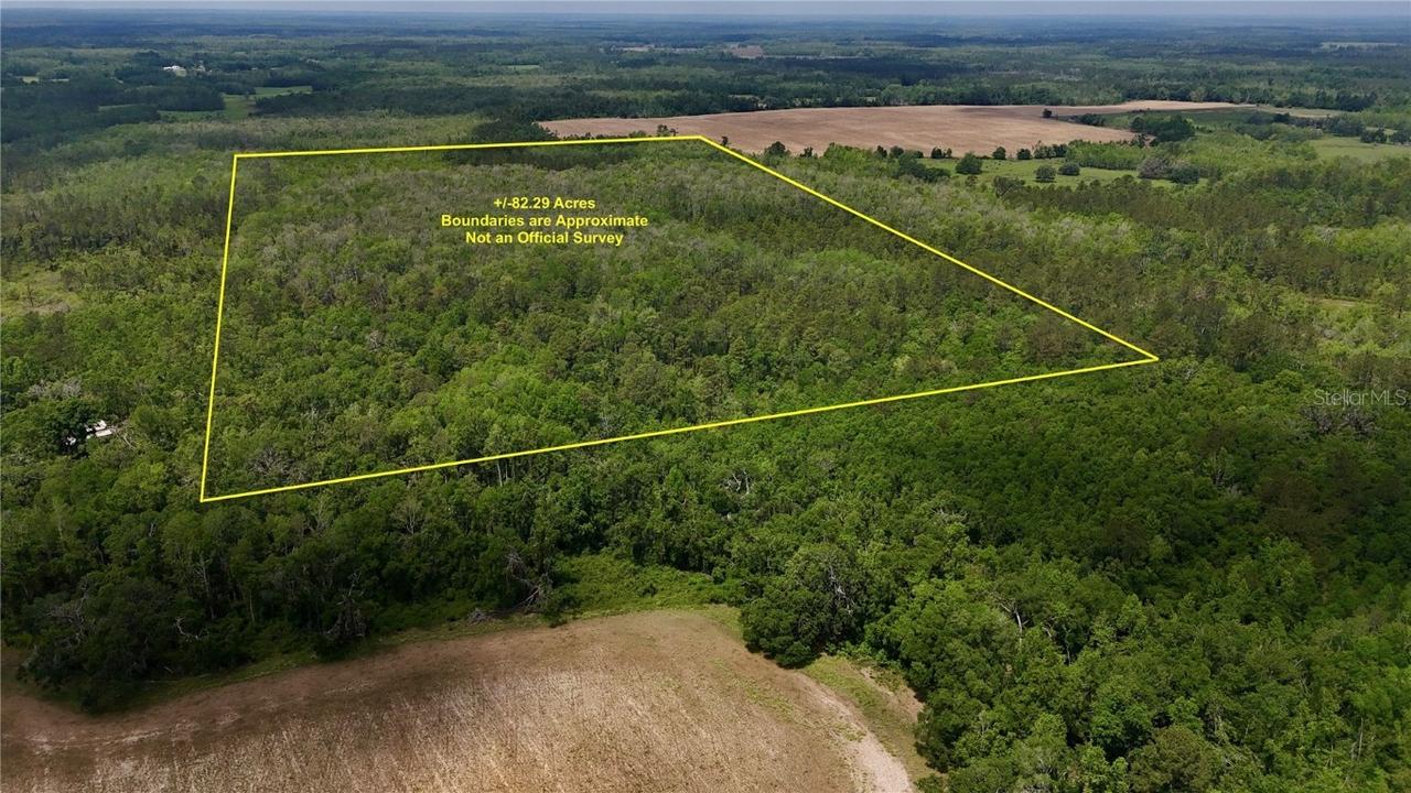 SW Oviedo Tr., Greenville, FL 32331