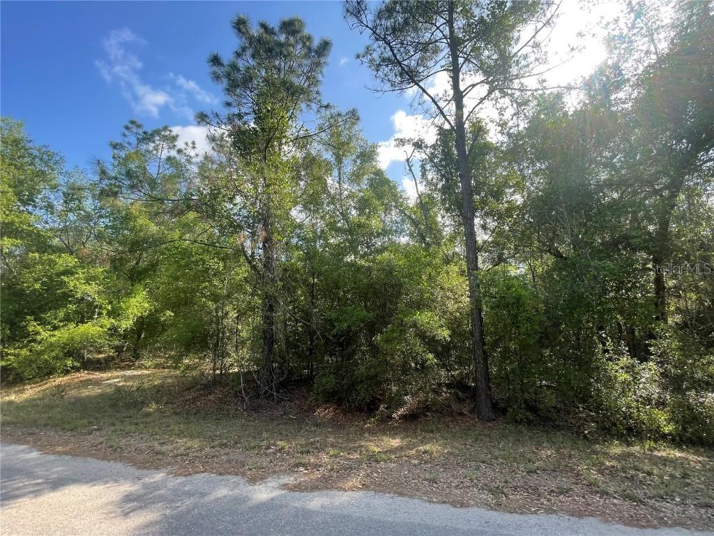 TBD Sequoia Dr. #Lot # 16, Ocklawaha, FL 32179