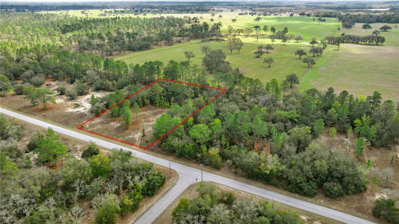 BLK17, Lot 21 SW Tiger Lake Blvd., Dunnellon, FL 34431
