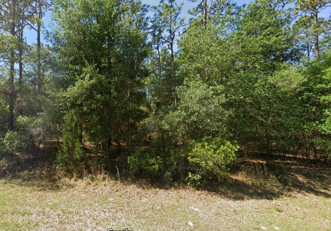 Lot 3 SW 102nd Street Rd., Dunnellon, FL 34431