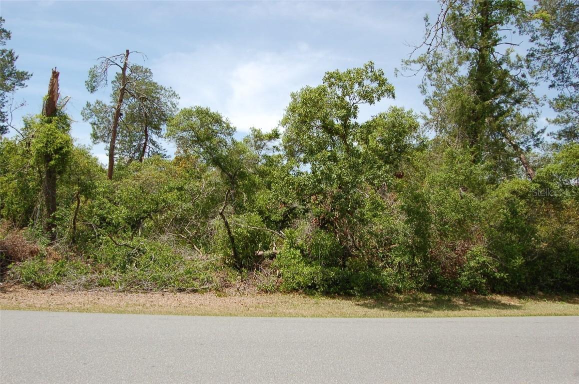 TBD SW 41 Cir. #6, Ocala, FL 34473