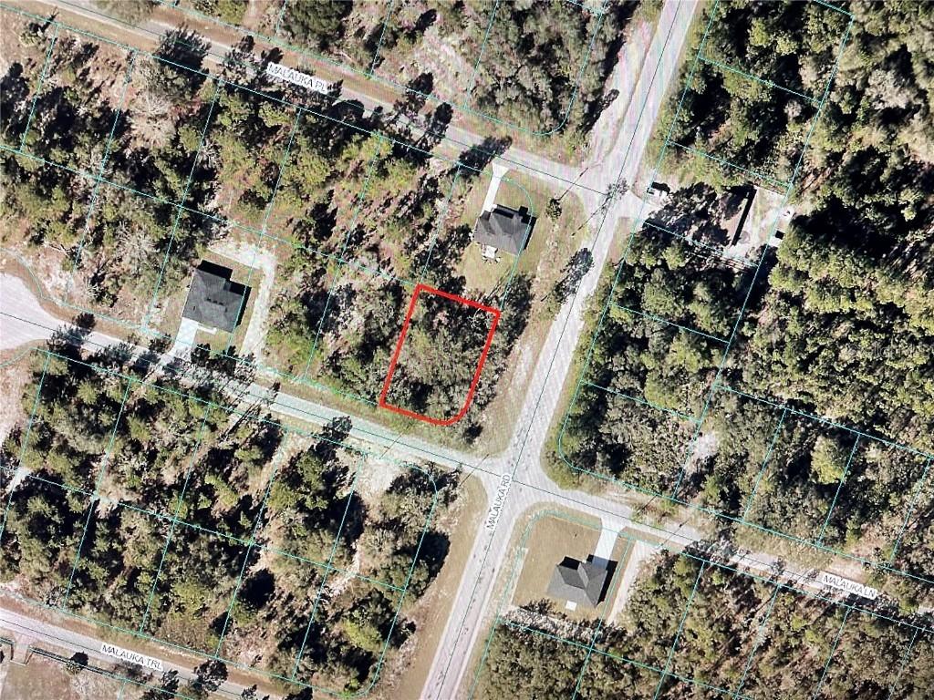 63 Malauka Ln., Ocklawaha, FL 32179
